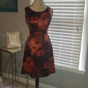 Autumn Colored Limited Dress